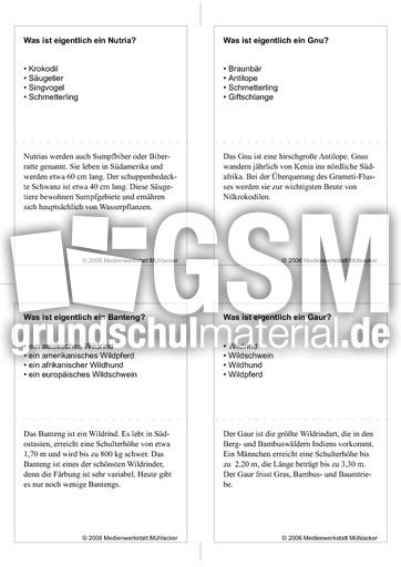 Quiz-Karten-Tiernamen 53.pdf